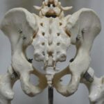 仙腸関節の痛みを整体で改善