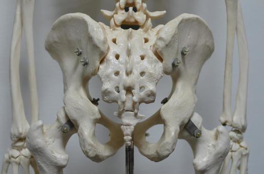 仙腸関節の痛みを整体で改善